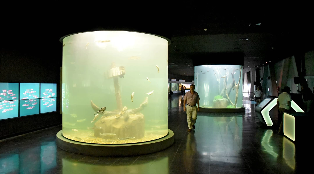 Paraná River Aquarium